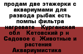 продам две этажерки с аквариумами для развода рыбак есть помпы фильтра нагревате - Курганская обл., Кетовский р-н, Садовое с. Животные и растения » Аквариумистика   